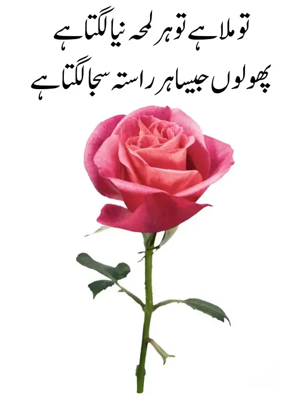 2 Line Romantic Shayari for SMS