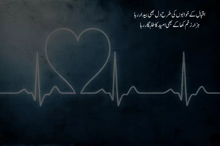 Best Deep Poetry in Urdu Text