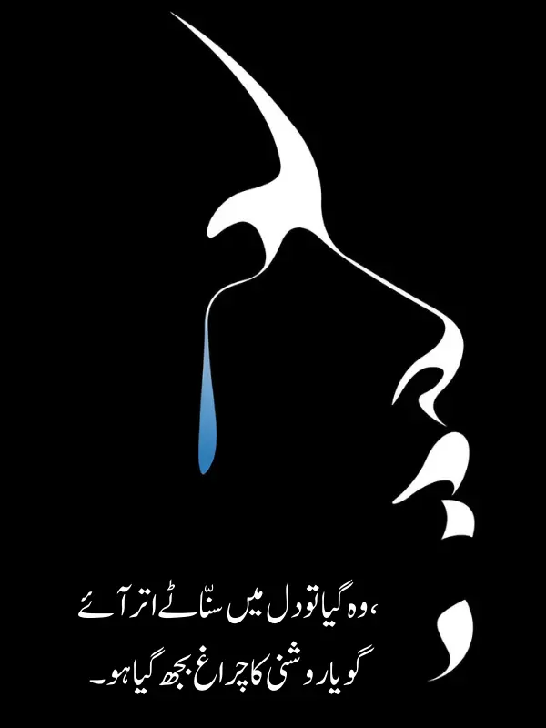  Best Sad Poetry in Urdu