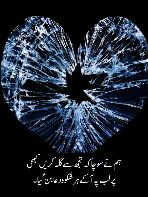 Bewafa Poetry in Urdu 2 Lines