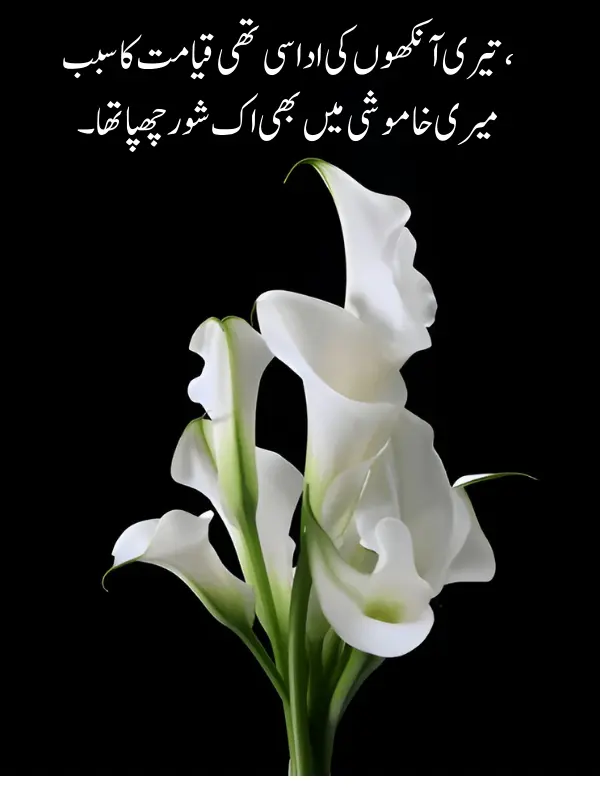 Heart touching Deep Poetry