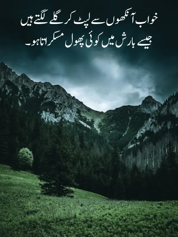 Aesthetic Shayari in Urdu and Love