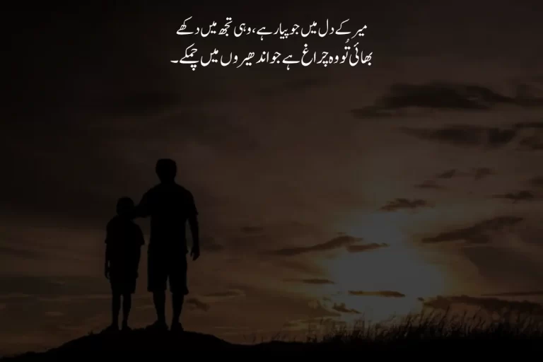 Best Brother Poetry in Urdu Text
