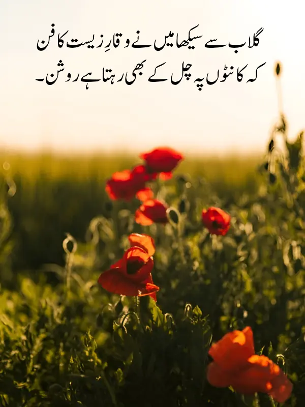 Best Flower Poetry in Urdu