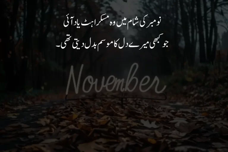 Best November Poetry in Urdu Text