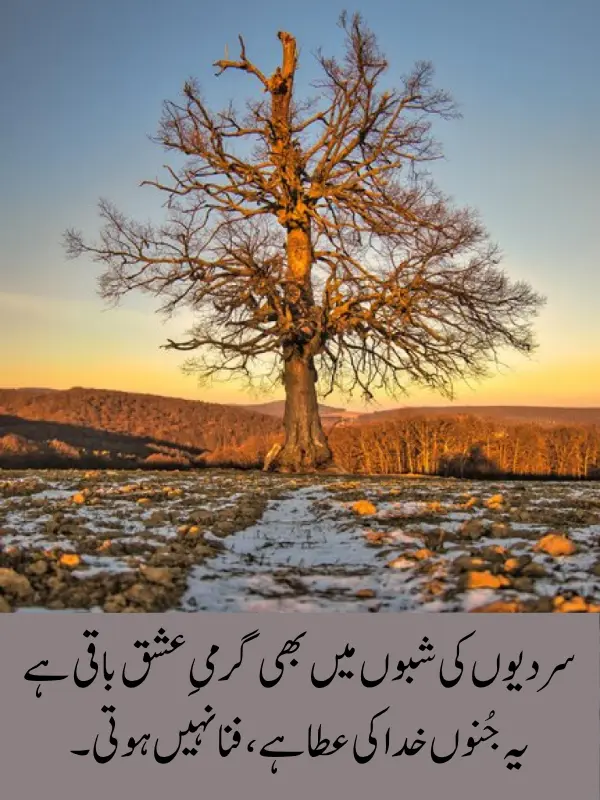 December Poetry In Urdu Text