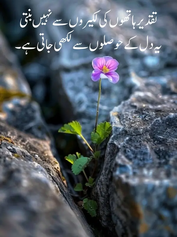 Motivational Poetry In Urdu Copy Paste