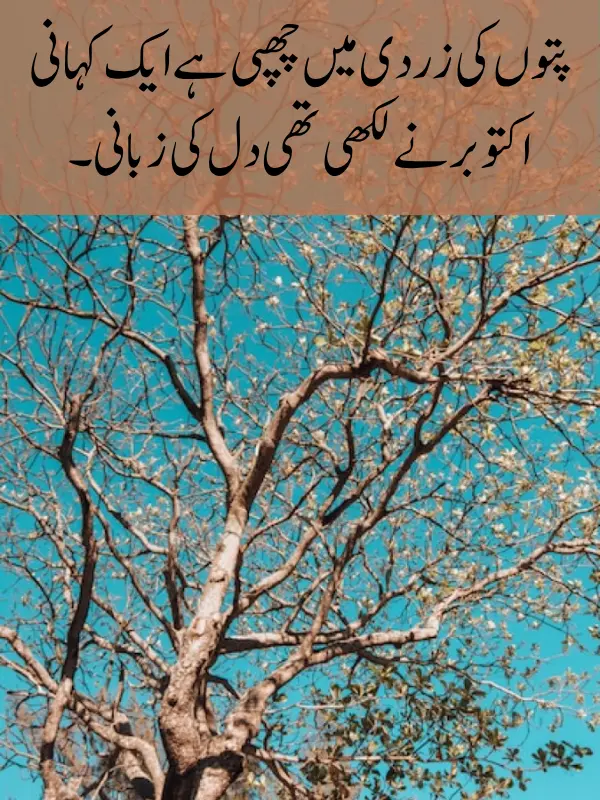October Poetry In Urdu 2 Lines