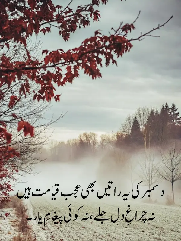 Romantic December Poetry In Urdu 2 Lines
