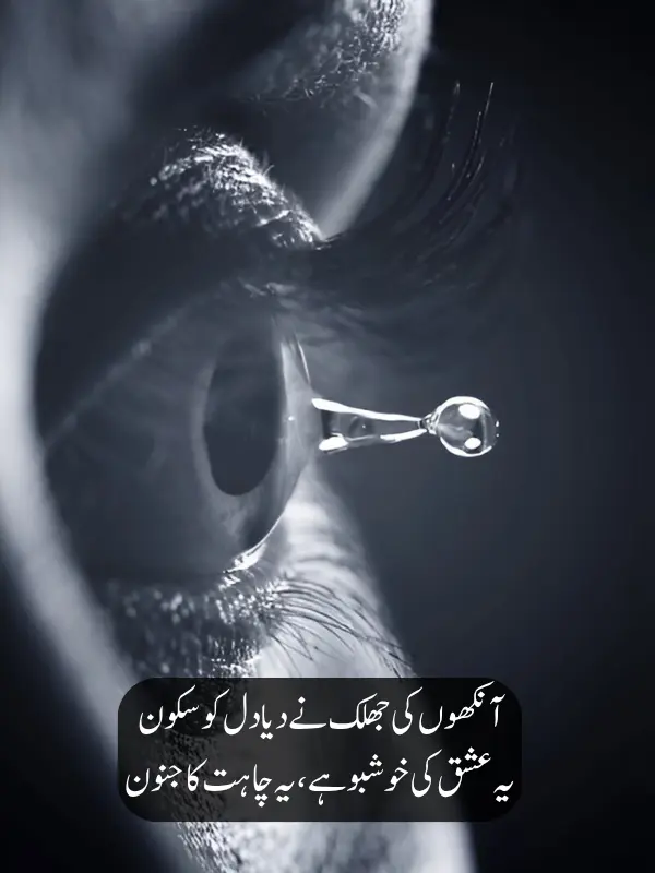 Top Shayari On Eyes
