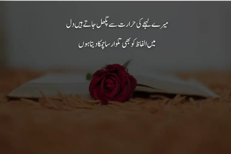 Two Lines Poetry in Urdu Text