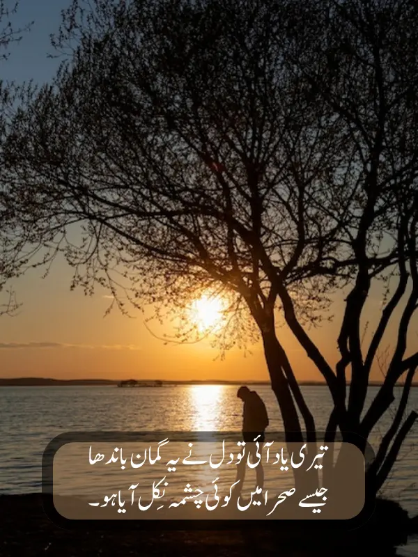 Yaad Shayari 2 Lines